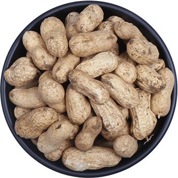 Groundnut In-Shell